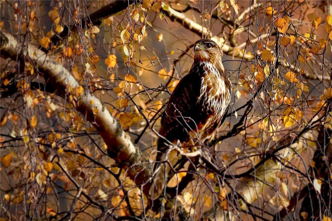 Eriksberg & Nature Reserve